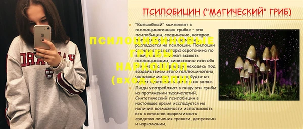 тгк Алексин