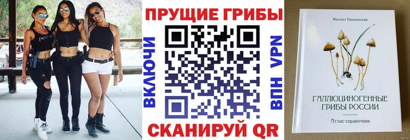 Галлюциногенные грибы прущие грибы  Амурск 